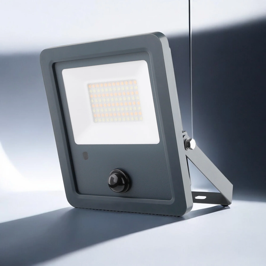 Projecteur solaire MOD-PROJ1000 orientable