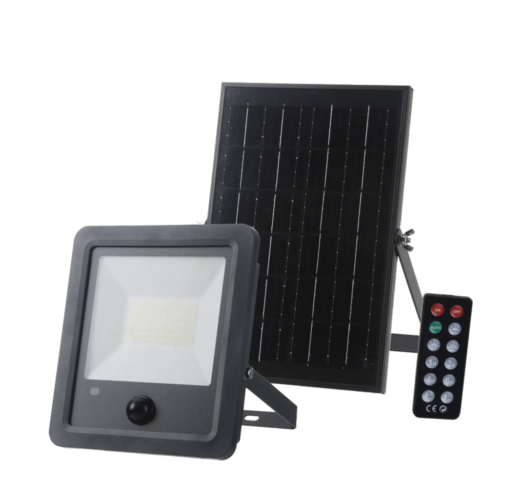 Projecteur solaire PS-300-CCT avec panneau déporté