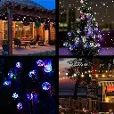 SHINY 3701192900419-3.webp