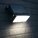 MINI1000 3701192901676-17.webp
