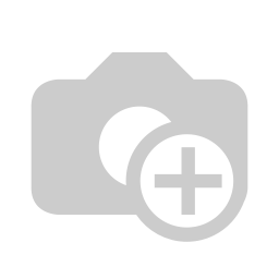 Projecteur solaire 1000lm