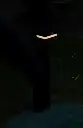 BORN-HALYA 3701192902178-9.webp